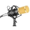 Neewer NW-800 Professional Condenser Microphone Kit:Microphone For Computer+Shock Mount+Foam Cap+Cable As BM 800 Microphone